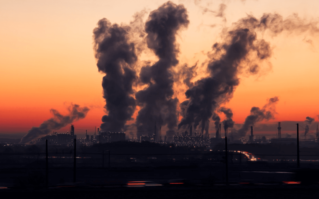 Beyond Divestment